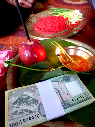 ティカとジャマラ（新芽）、お年玉のスタンバイOK!