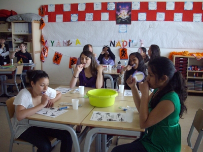 小学校6年生に相当する子どもたちが、矯正の話題を授業で受けているところ。