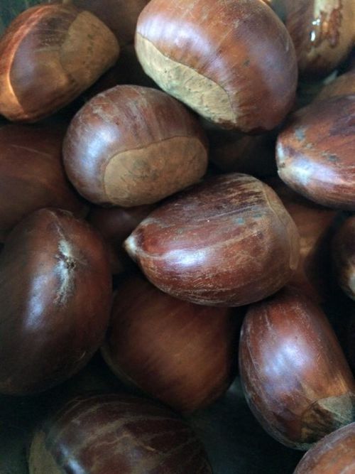 フランスの栗たち