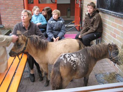 小学校にポニーが｢出張｣することもある。