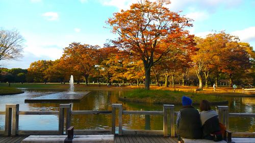 水にうつる紅葉もきれいです。