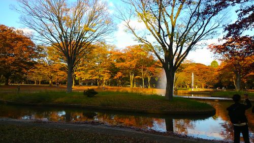 奥の木々もすっかり秋の色