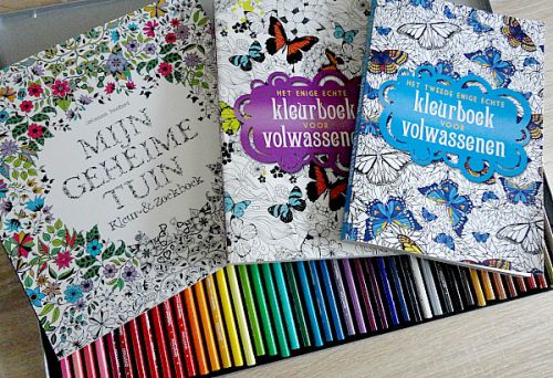 専用の色鉛筆も発売されている。