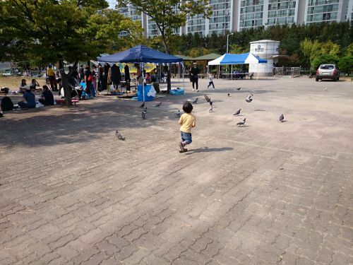 上限5,000ウォン（約530円）の定期開催フリマ会場で走り回る我が家の息子(今年９月)
