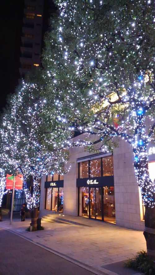 ブルーのライトも素敵です。