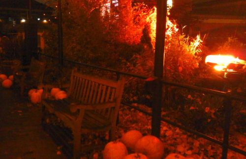 リーセベリ今年初のハロウィン営業（１０月下旬〜１１月上旬）園内はカボチャなどで飾りつけがされていました。