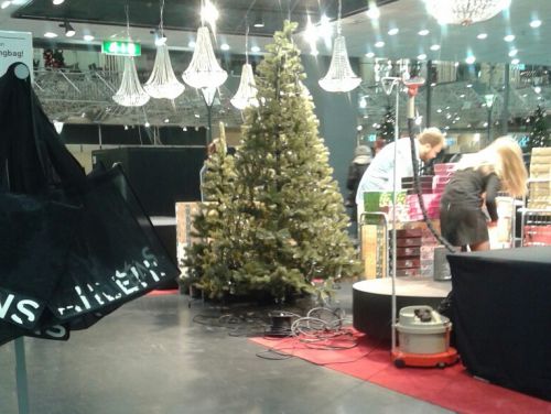 ハロウィンが終わったら、店内もクリスマスの準備に