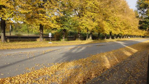 １０月２１日の紅葉