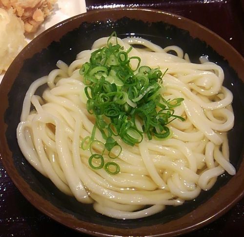 シンプルだからおいしさがわかるかけうどん。