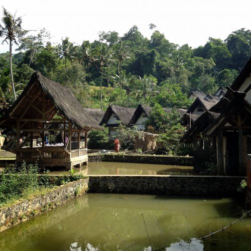 インドネシアの普通の田舎ともまた少し違う風景です