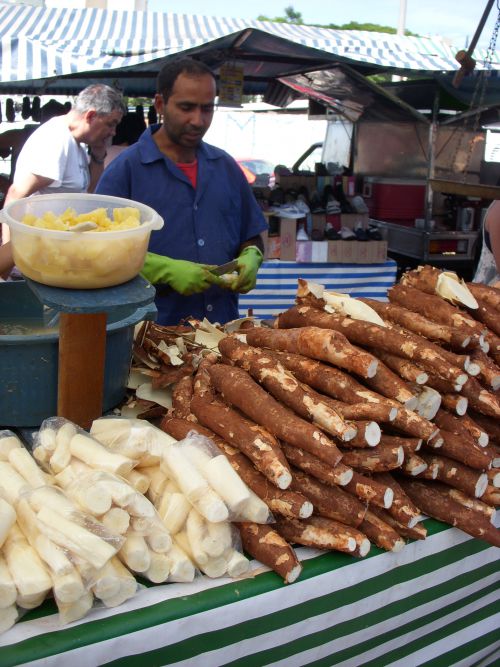 フェイラで販売されるポーヴィーリョ・アゼードの原料であるマンジオカ（キャッサバ）