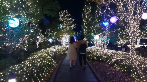 光の道を歩くカップル。