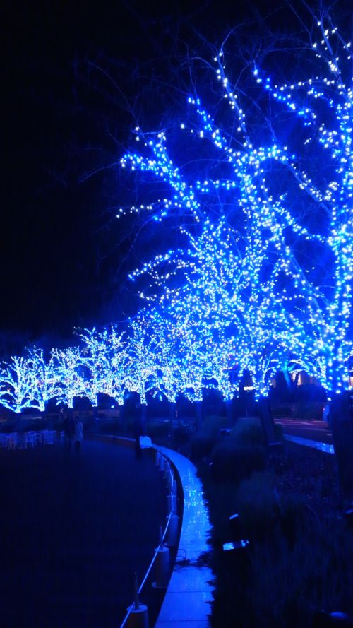 青と白に輝く光の道。