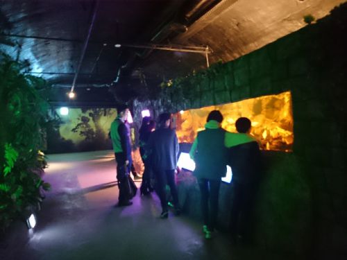 自然洞窟を利用しているため、ところどころで水がしたたり落ちています