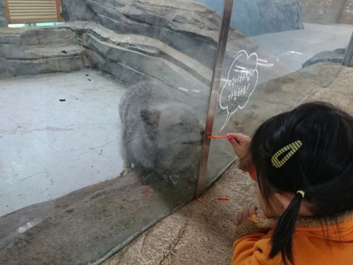 餌やり体験は、一家族紙コップ一杯分と決まっています