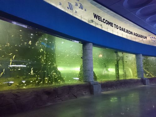 テジョンの新名所となることができるでしょうか