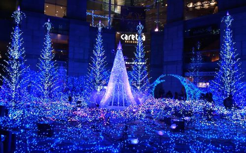 一面のブルー。