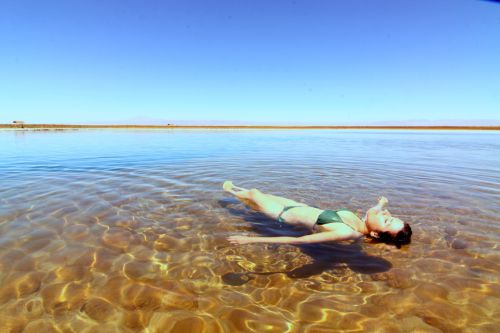 南米の死海と呼ばれるアタカマ砂漠のセハール湖
