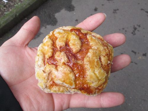 全麦のメロンパン