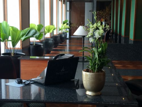 花や緑が上品に置かれています