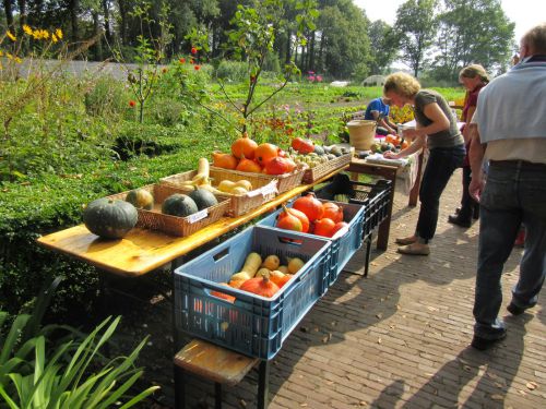 獲れた野菜を安価で販売し、収益金をチャリティ事業にまわすこともある。