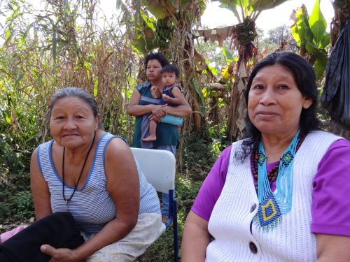 ブラジルのグアラニ族の女性たち。右の女性のペンダントはグアラニのシンボル模様。