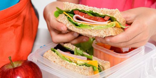 これが毎日続くとなると、やはり飽きるのも当然？