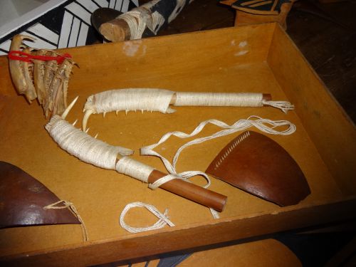 シングー国立公園の部族の一部で使用されている鋭利な魚の歯で作られた身体に傷を付けて血を出す道具