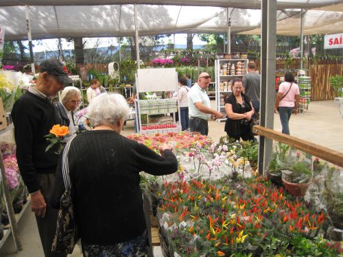 半袖姿にジャンパー姿が入り交じる（サンパウロ市近郊の「花祭り」で）