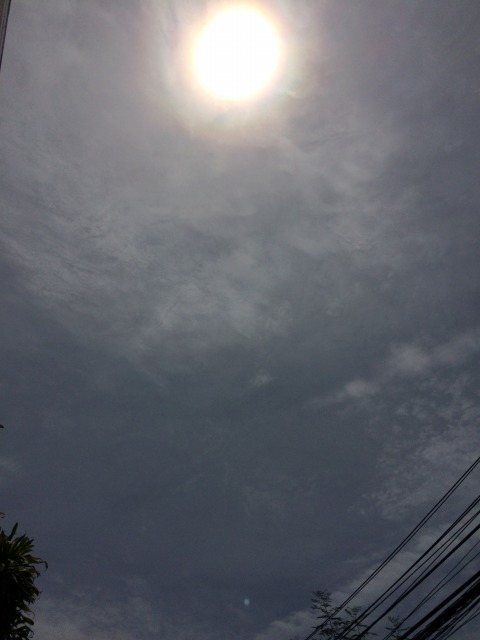 豪雨のあとの太陽はいつも以上に強く感じられます