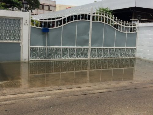 ゲート前にこんなに水が。中はどうなっているのでしょう