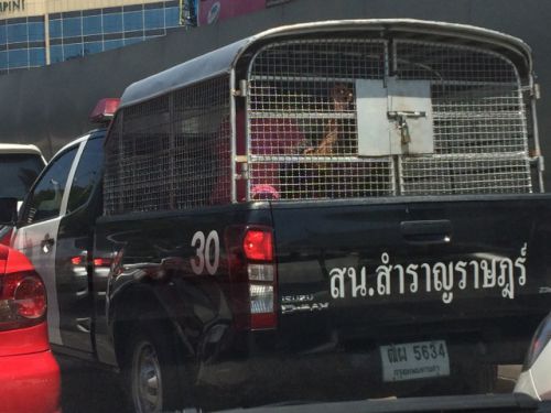 近くからだと中の二人の様子がしっかり見えます