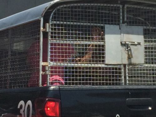 この手の車にしてはオープン過ぎる！