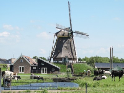 水をくみ出す役目を果たしてきた風車。
