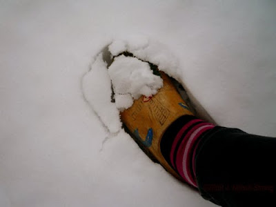 雪の中でも大活躍！木靴は、水はけのよさが自慢。