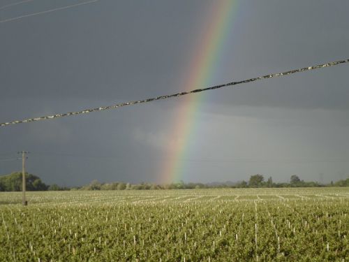 一日中雨が降り続くことがないため、虹がよく見れます！