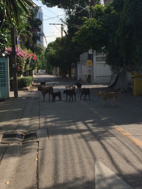 いくらなんでも多すぎだとは思いませんか？