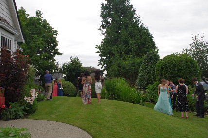 散水制限の中、蒼々とした芝生を維持するのに苦労しています