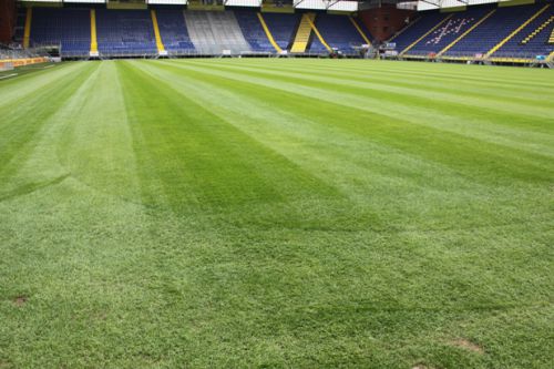 今大会の優勝に向けて、あともう一息、頑張ってほしい。