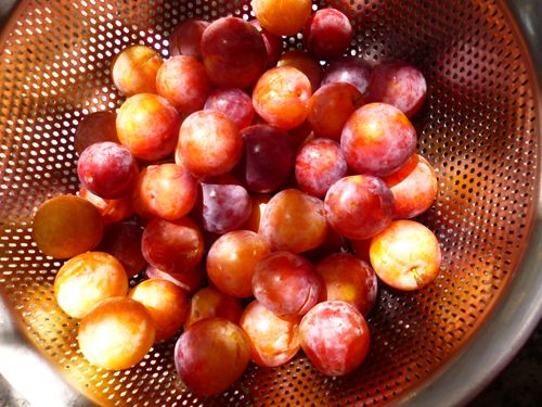 つるっとピカピカ！