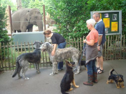 ペットも一緒に、動物園をエンジョイ！