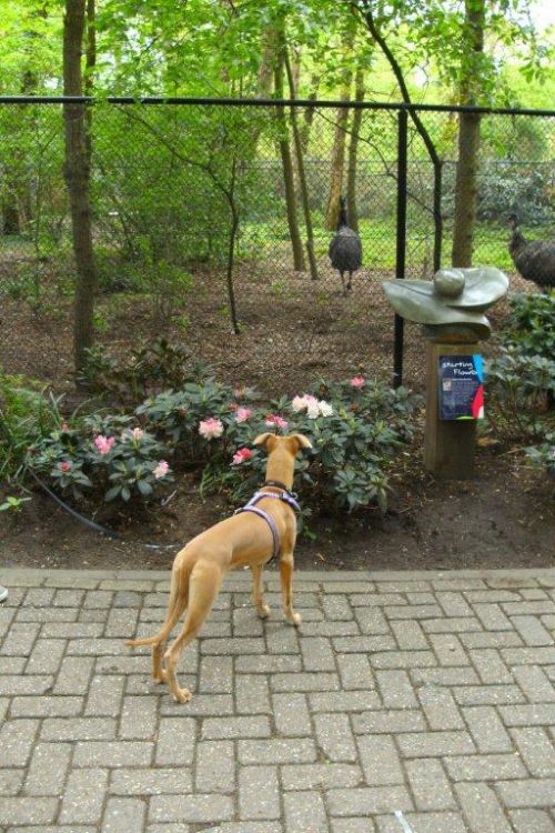 愛犬も、興味津々！？