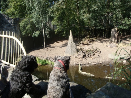 初めて見るゾウにびっくり。