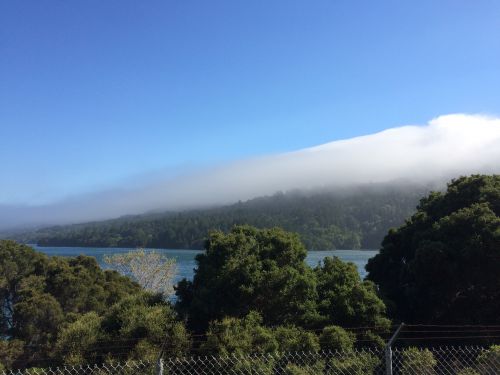近所にあるダム。水量は低いままです
