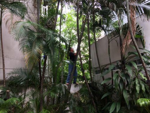 まずはこれから切るか。。。