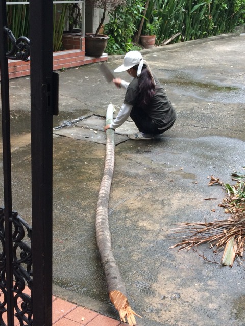 木を短くする作業は本当に大変そうでした。お疲れ様！