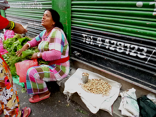 あの粒は、もしかして？