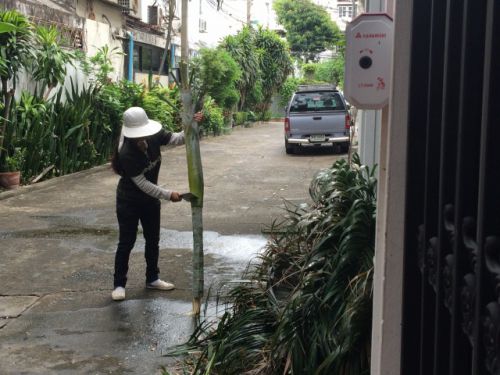 外で働く人は長袖着用率高いです