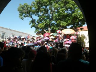 ぎらつく日差しもなんのその。