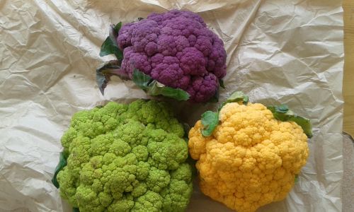 紫、黄緑、オレンジのカリフラワー